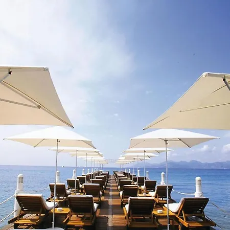 Daire Montrachet Cannes